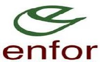 enfor